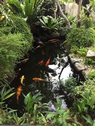 Seletar Hills Estate (D28), Detached #520688811